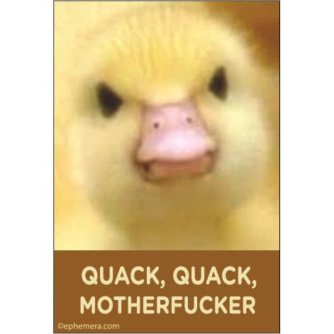 Quack, Quack Motherfucker Magnet