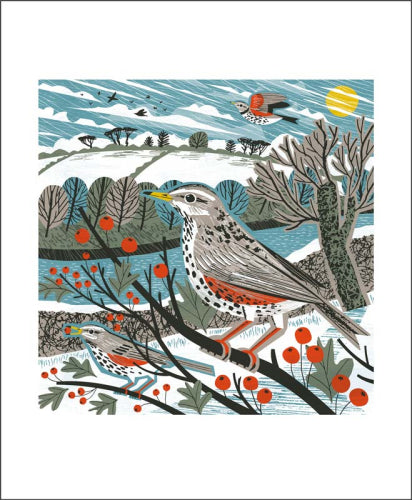 Redwings Haws Card