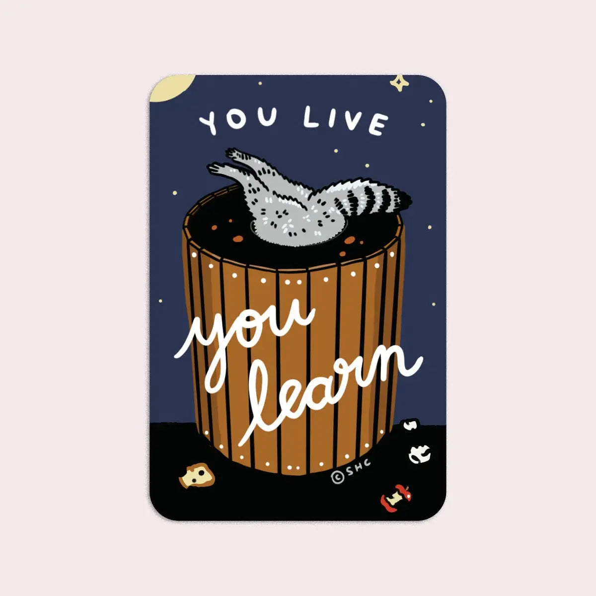 S90 You Live You Learn Vinyl Sticker