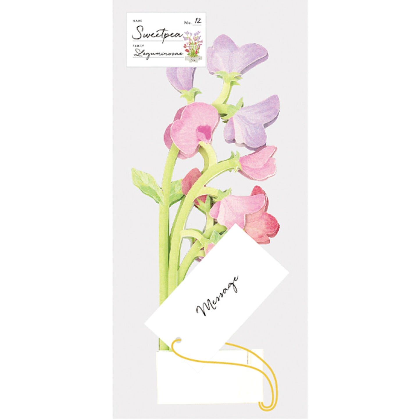 Pop-up 360 Blooming Card Sweet Pea
