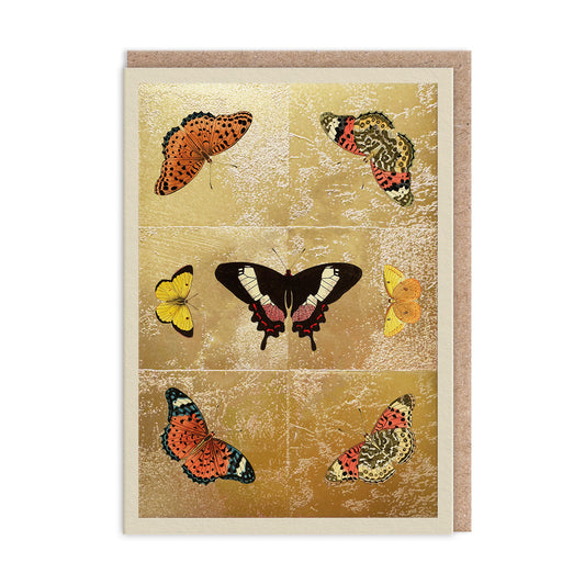 Butterfly Symmetry Greeting Card