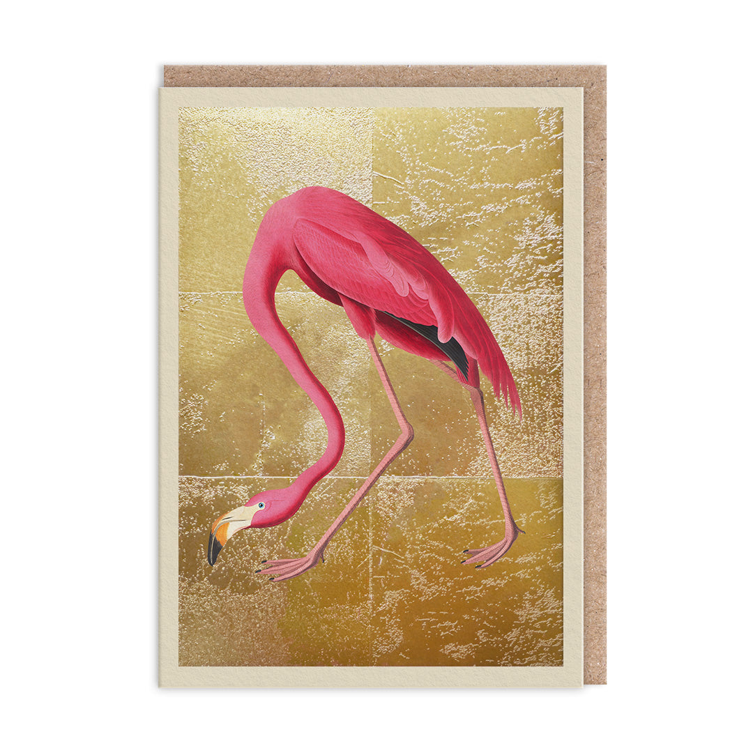 Greater Flamingo Greeting Card