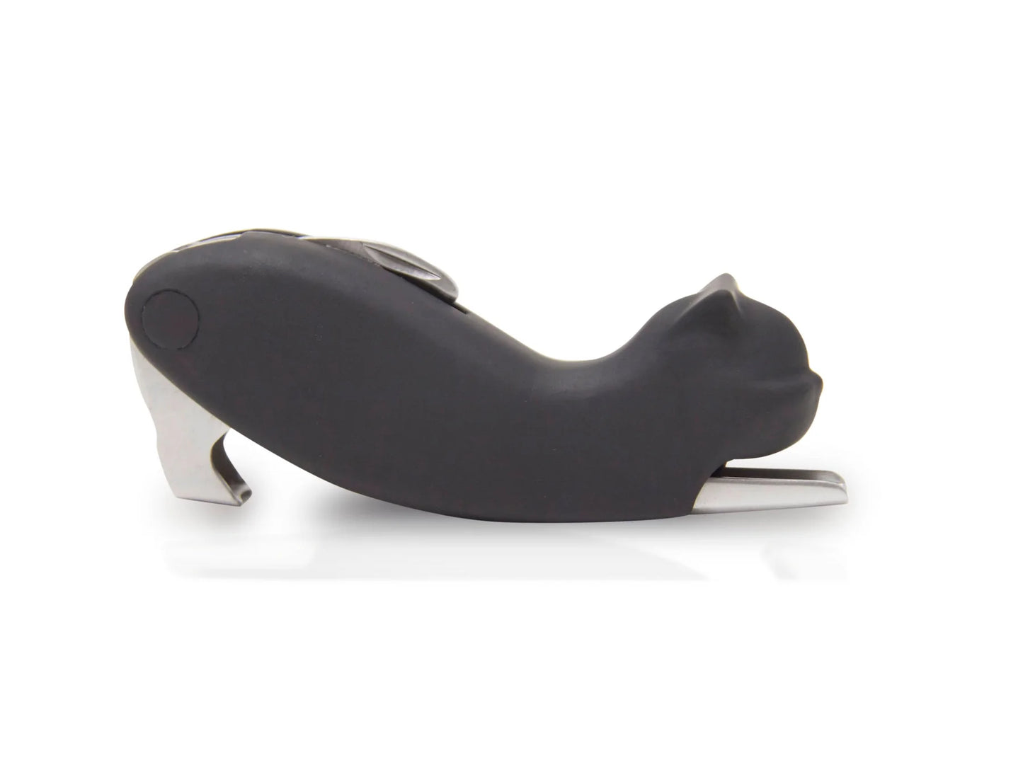 Corkscrew Cat