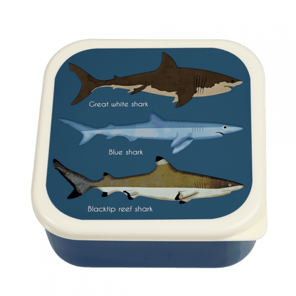 Sharks Snack Boxes Set of 3