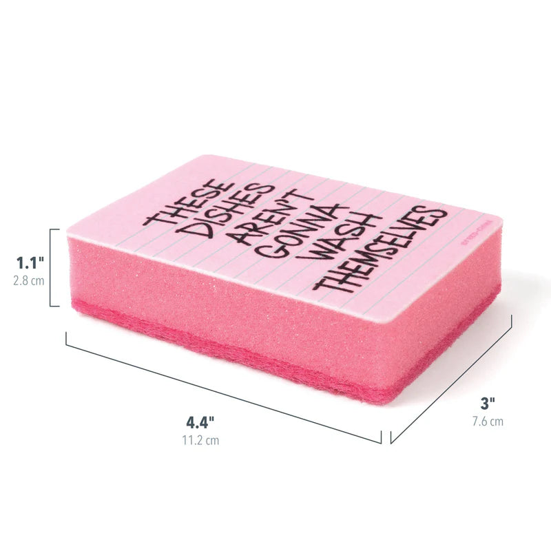Sponges Clean Conscience