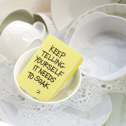 Sponges Clean Conscience