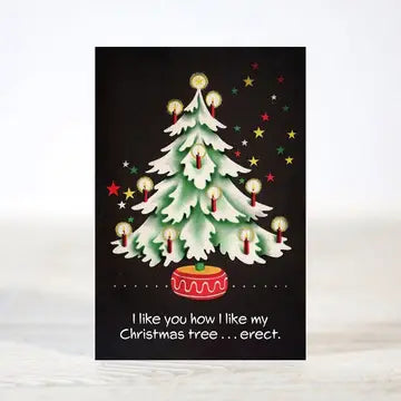 Mini 12 Days of Dirty & Flirty Christmas Boxed Cards