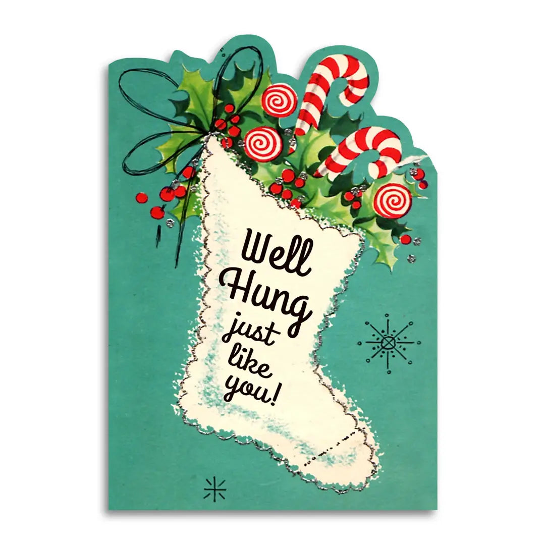 Well Hung Just Like You Funny Christmas Card