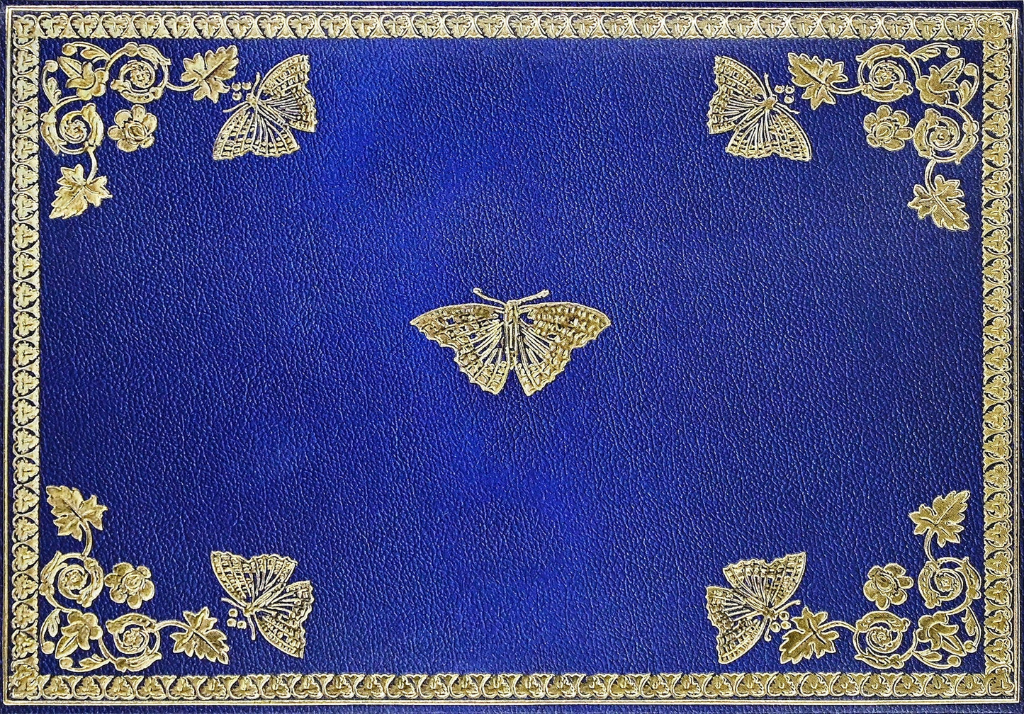 Gilded Butterflies Blank Boxed Cards