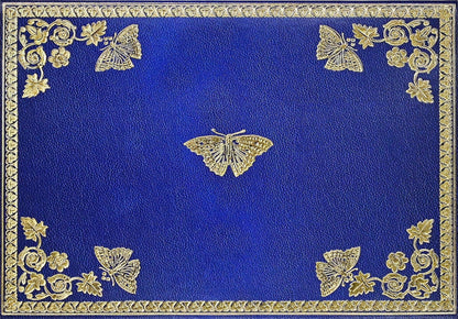Gilded Butterflies Blank Boxed Cards