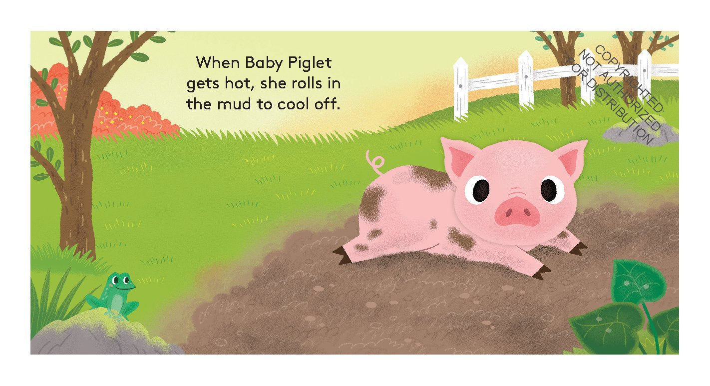 Finger Puppet Book Little Piglet