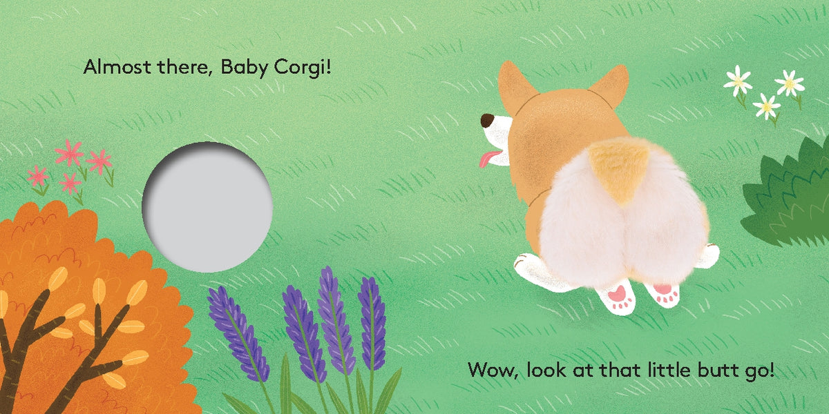 Baby Corgi Butt: Little Finger Puppet Book