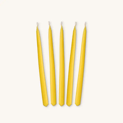 Beeswax Chanukah Candles