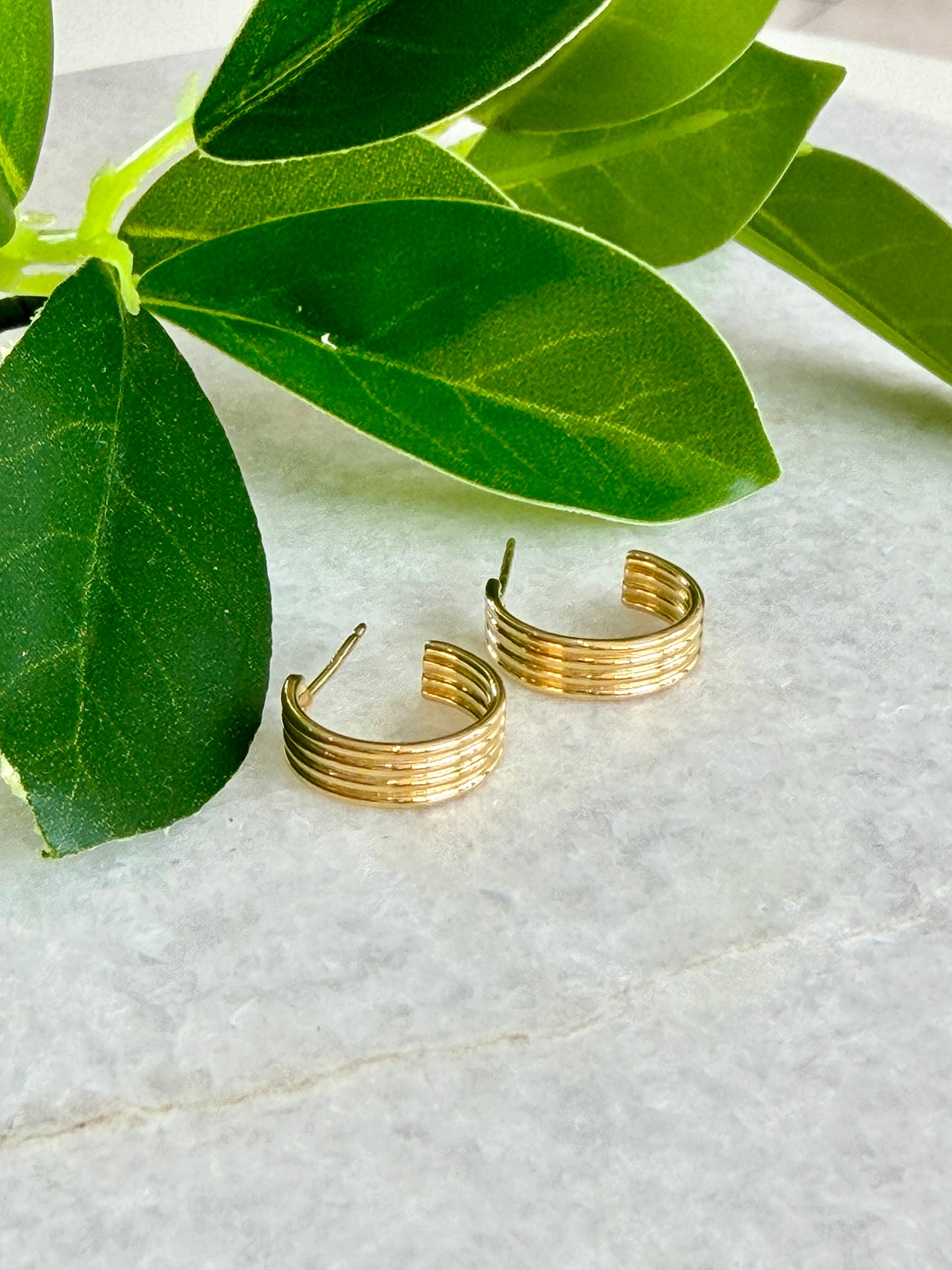 13mm Hoop With Ribs Earrings