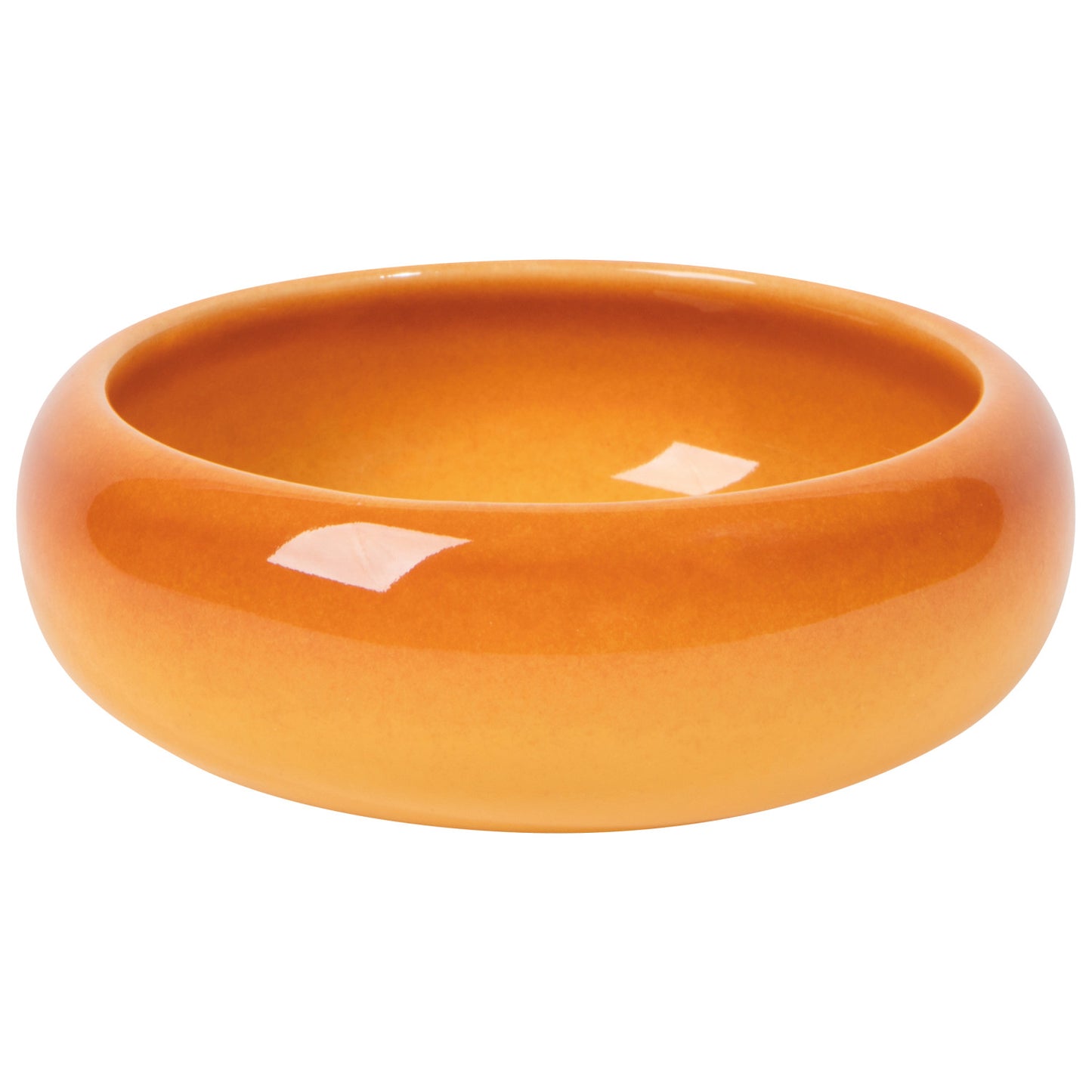 Opus Dish - Canyon