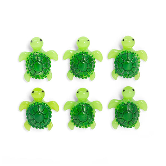 Baby Turtle Magnet Set