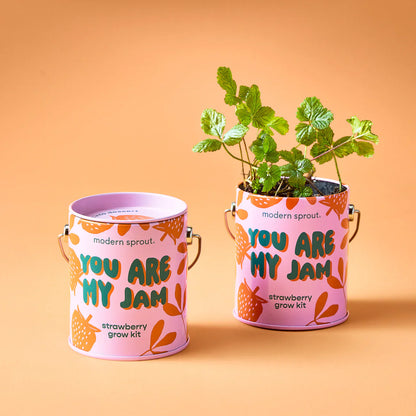 Complimentary Colours Grow Kit
