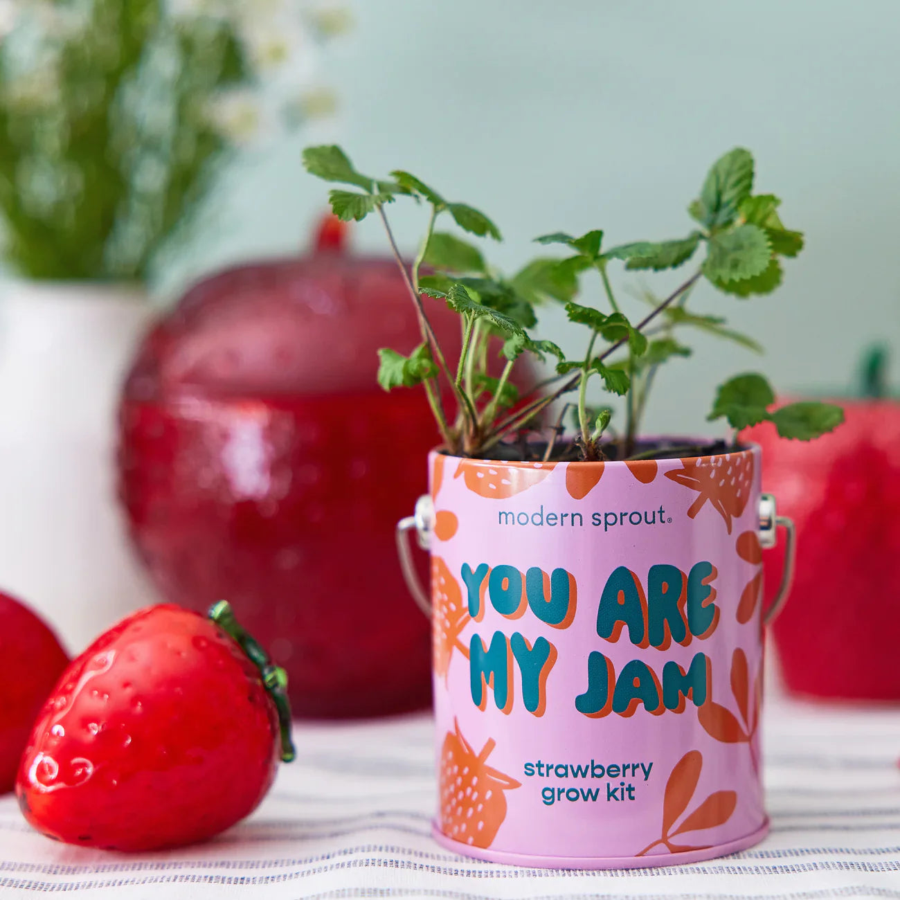 Complimentary Colours Grow Kit