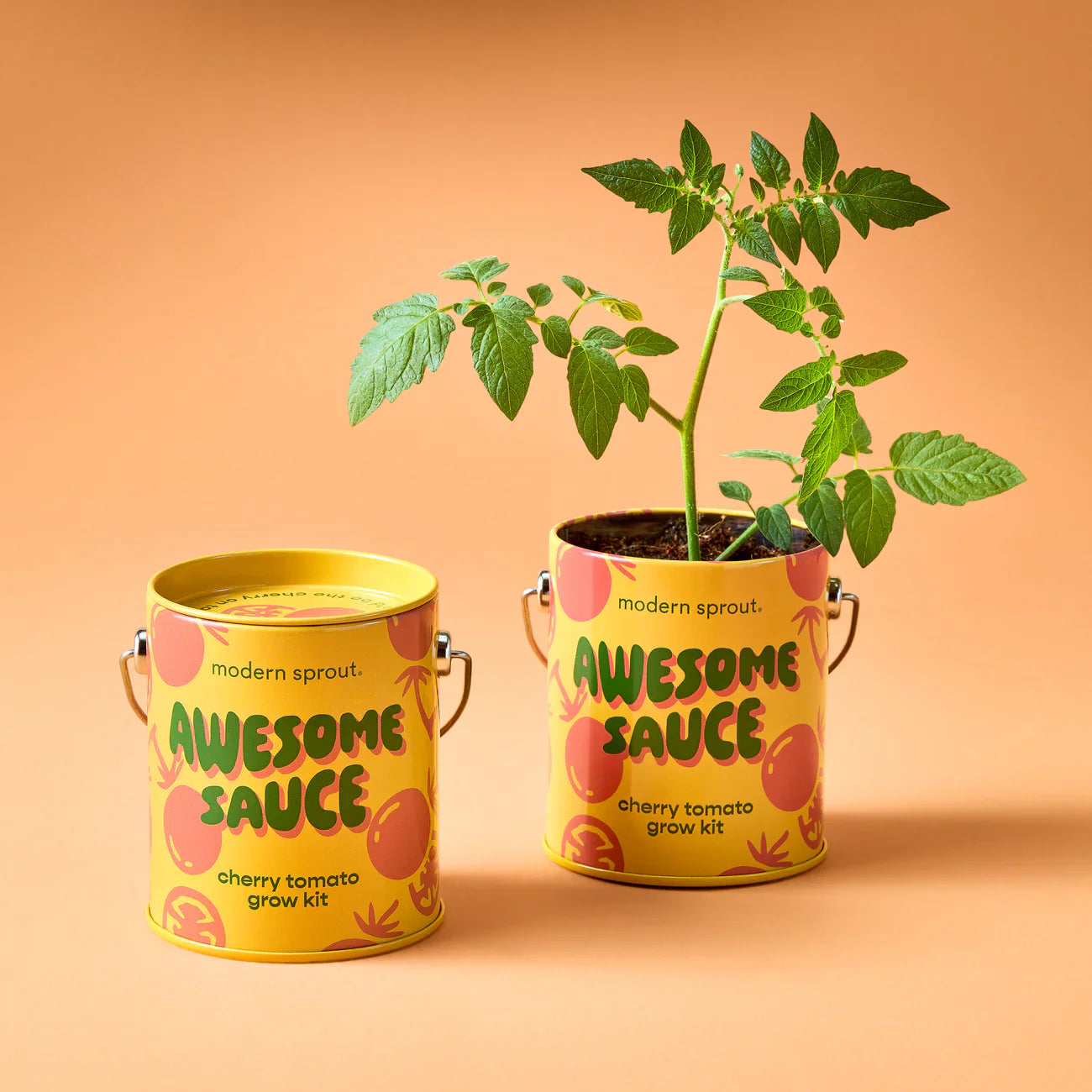 Complimentary Colours Grow Kit