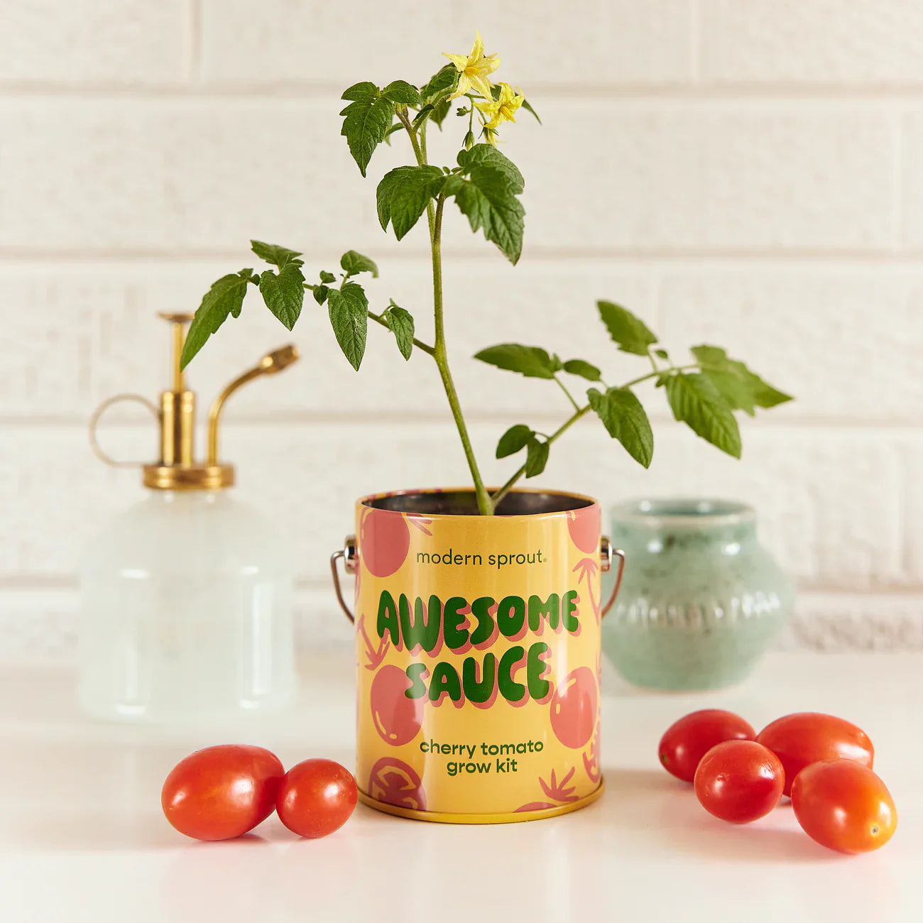 Complimentary Colours Grow Kit