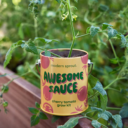 Complimentary Colours Grow Kit