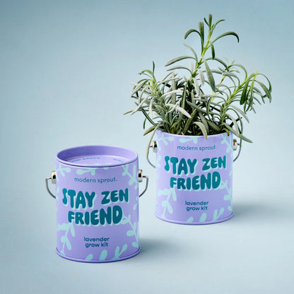 Complimentary Colours Grow Kit
