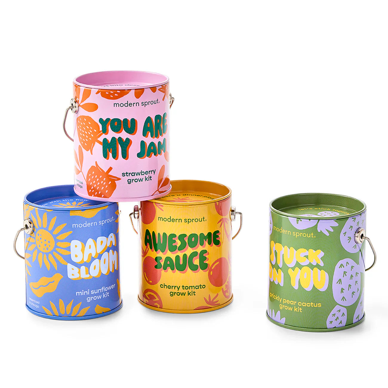 Complimentary Colours Grow Kit