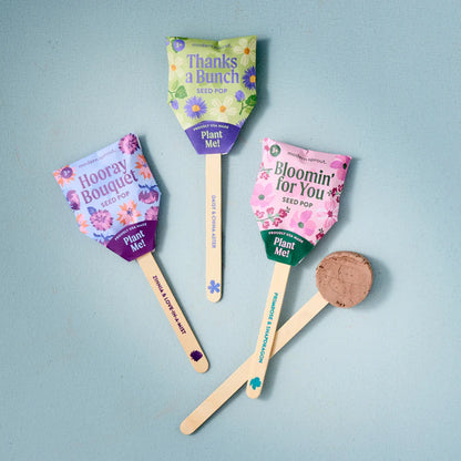 Seed Pops - Plantable Celebration Gift