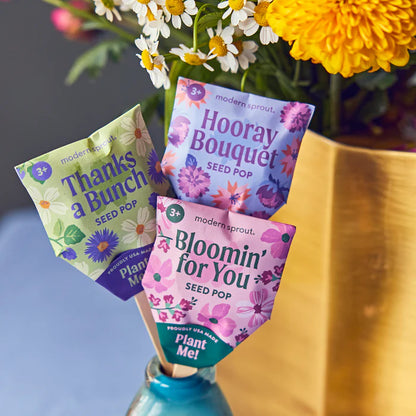 Seed Pops - Plantable Celebration Gift