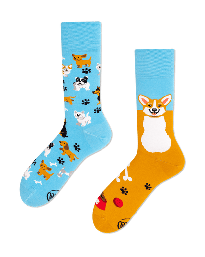Playful Dog Crew Socks