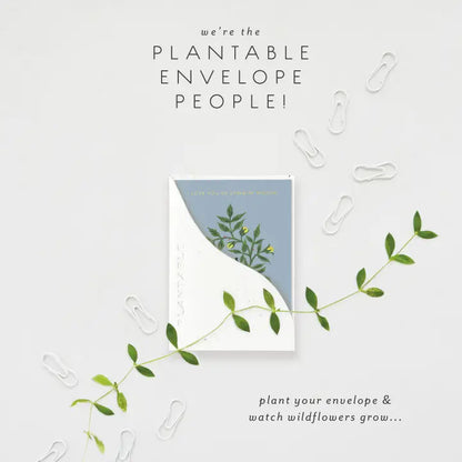 Stinker Sprout Mini Greeting Card