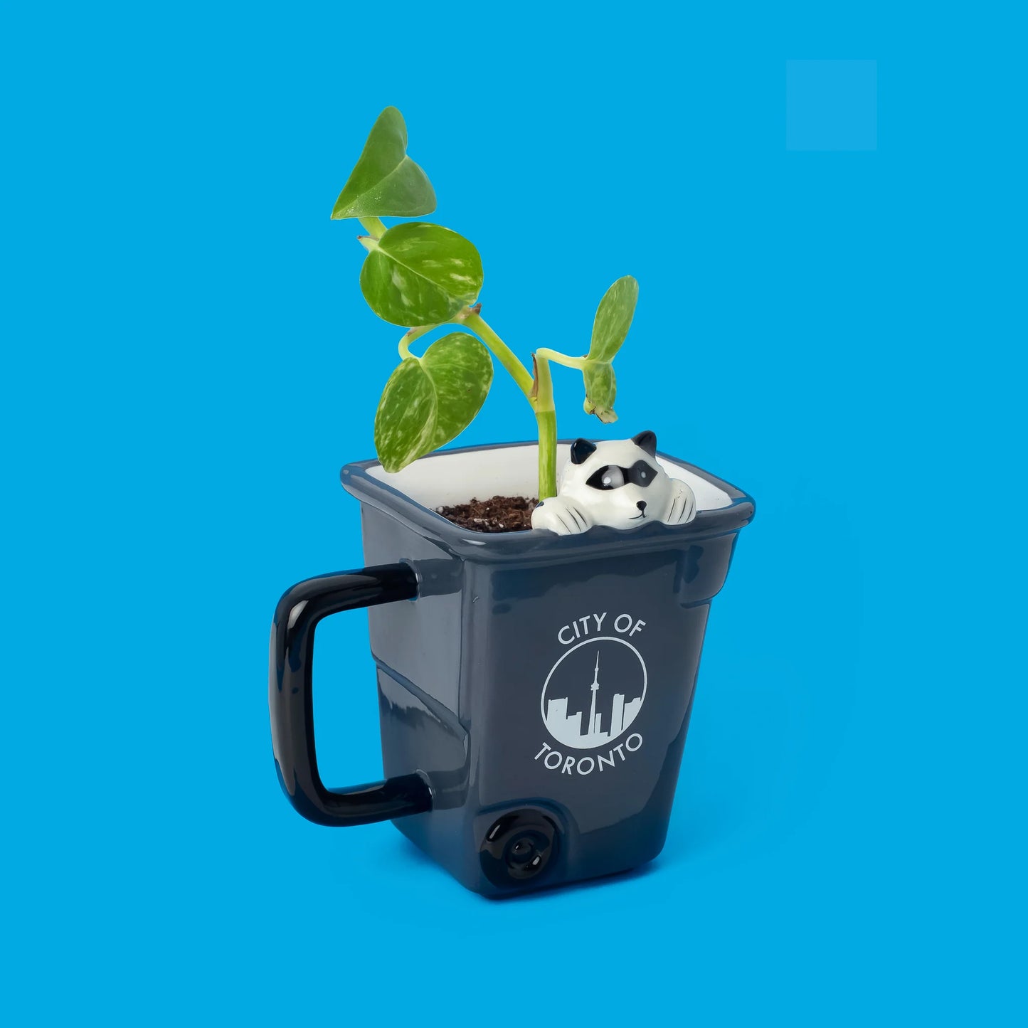 Toronto Raccoon Mug
