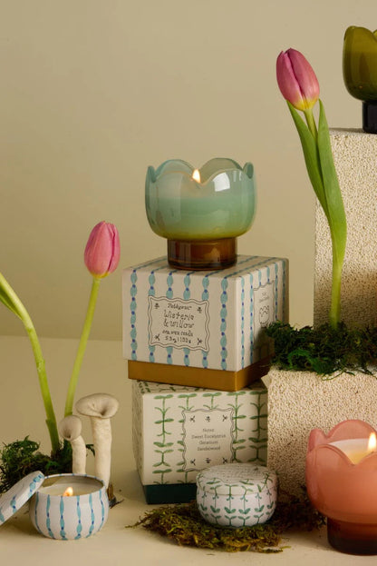 Wisteria + Willow Tulip 2oz Candle