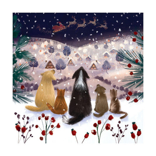 A Winter's Tail Boxed Holiday Cards
