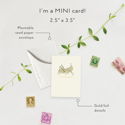 Hoppy Birthday Mini Greeting Card