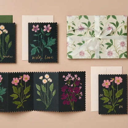 Botanical Daisy Birthday Wishes Card