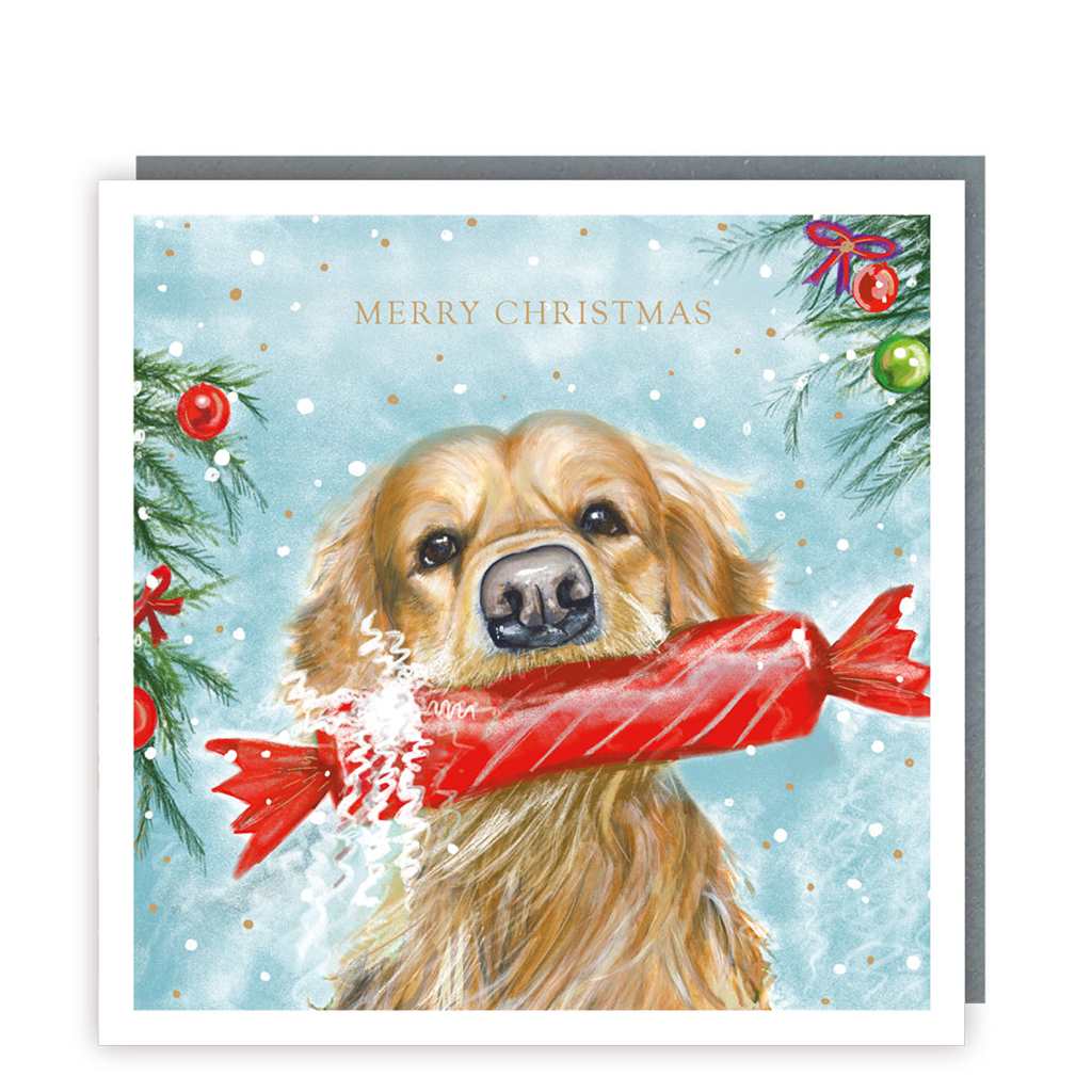 Dog with Cracker Christmas Cards Cello Pack