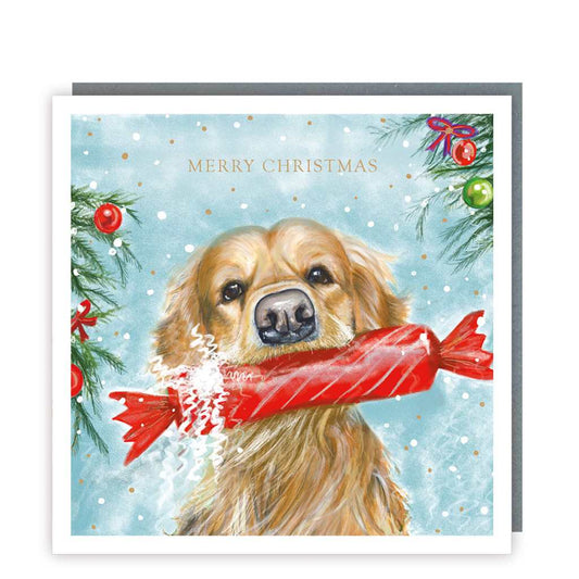 Dog with Cracker Christmas Cards Cello Pack