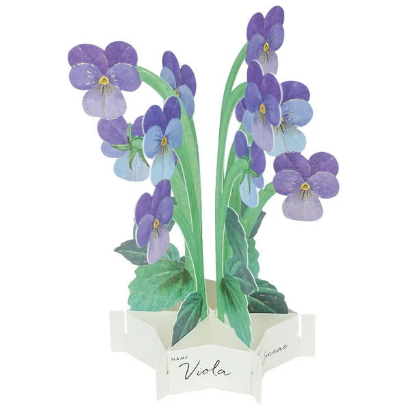 Pop-up 360 Mini Blooming Card Viola