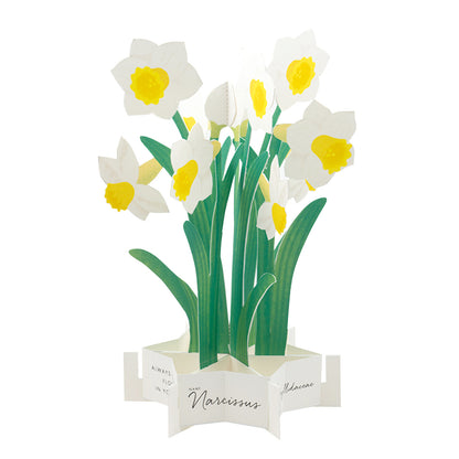 Pop-up 360 Blooming Card Daffodil