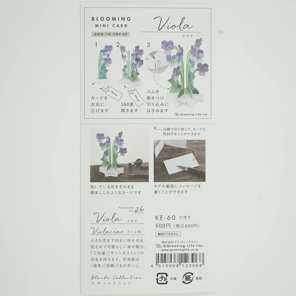 Pop-up 360 Mini Blooming Card Viola