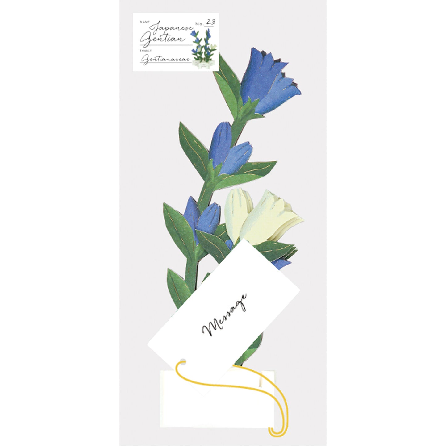 Pop-up 360 Blooming Card Gentian