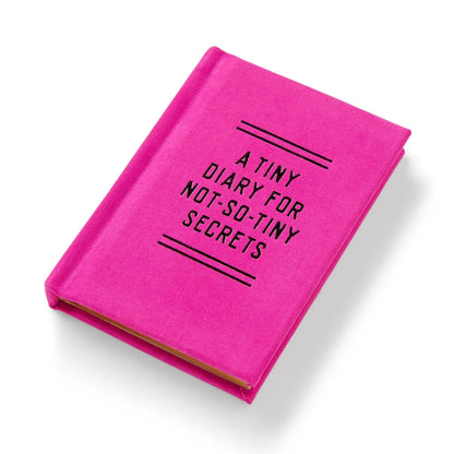 Tiny Diary for Not So Tiny Secrets
