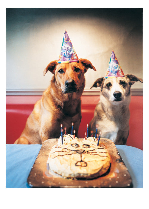 Birthday Party Card