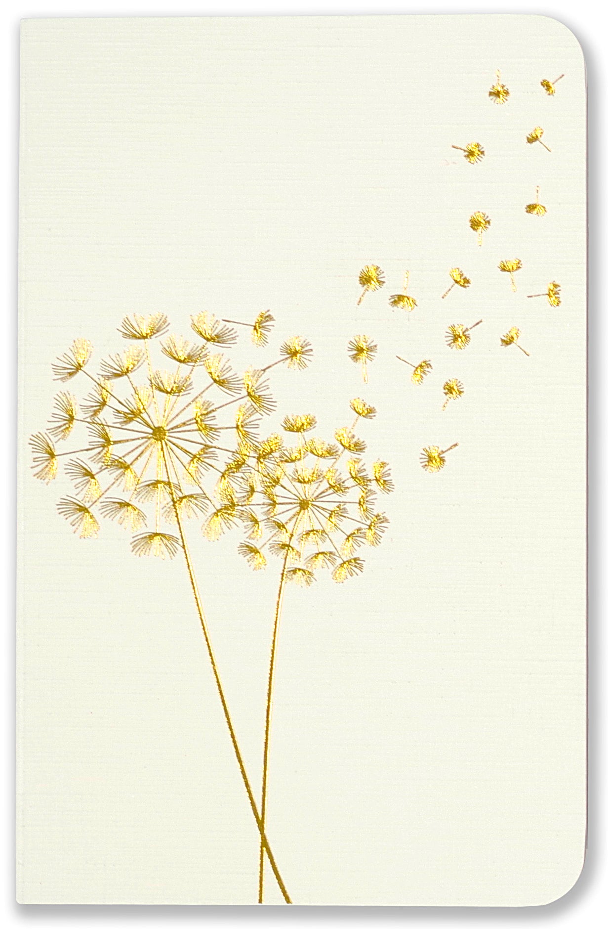 Jotter Dandelion Wishes Notebook Set of 3