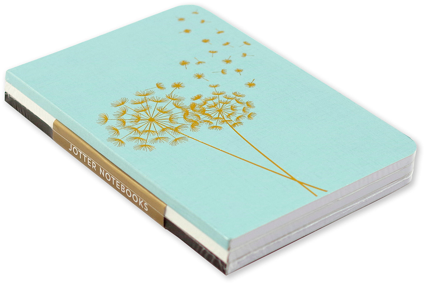 Jotter Dandelion Wishes Notebook Set of 3
