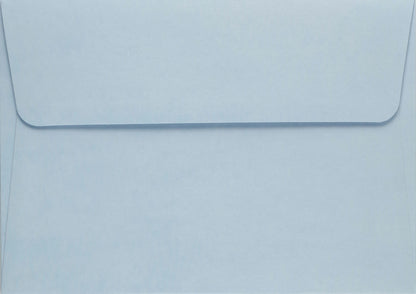 Sea Turtles Blank Boxed Cards