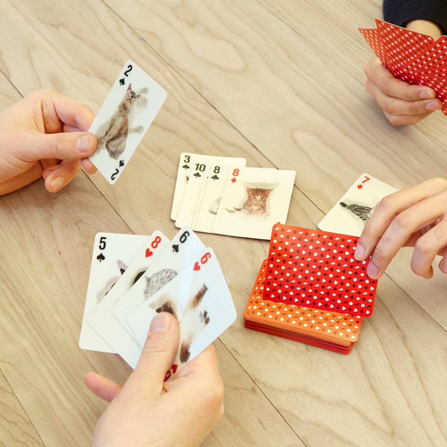 Cats 3D Playing Card