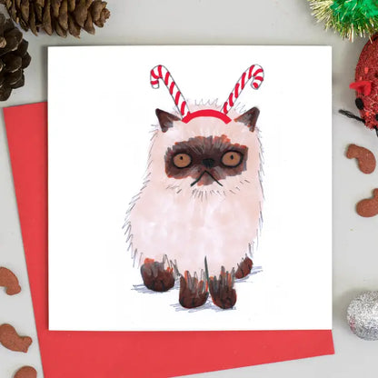 Cats in Christmas Hats 6 Assorted Christmas Cards Cello Pack